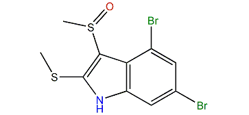 4,6-Dibromo-3-(methylsulfinyl)-2-(methylthio)-1H-indole